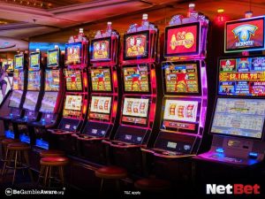 6855|Top Cassino Virtual com Cashback Diário – Participe Já
