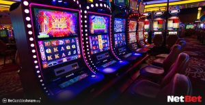 6855|Bingo Online – Descubra Agora no Cassino Ao Vivo